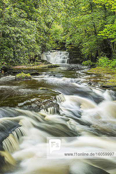Fluss in einem Wald mit einem Wasserfall im Sommer  lange Exposition; Clare Glens  Grafschaft Tipperary  Irland