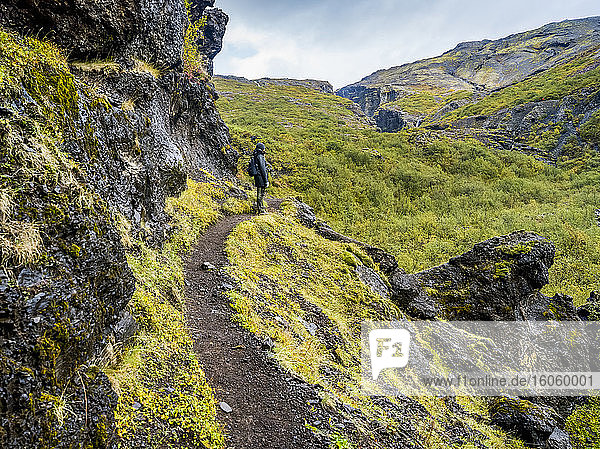 Eine Frau beim Wandern am Glymur-Wanderweg. Glymur ist der zweithöchste Wasserfall in Island mit einer Kaskade von 198 Metern; Hvalfjardarsveit  Hauptstadtregion  Island