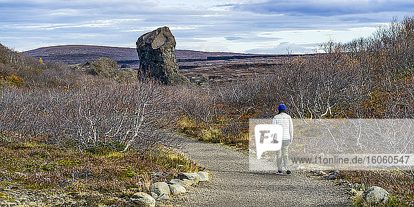 Eine Frau wandert auf einem Pfad durch eine Landschaft im Vesturdalur-Tal  Nordost-Island; Nordurping  Nordost-Region  Island