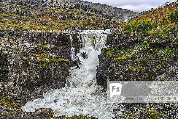 Wasserfall und rauschender Fluss in einer zerklüfteten Landschaft im Osten Islands; Djupivogur  östliche Region  Island