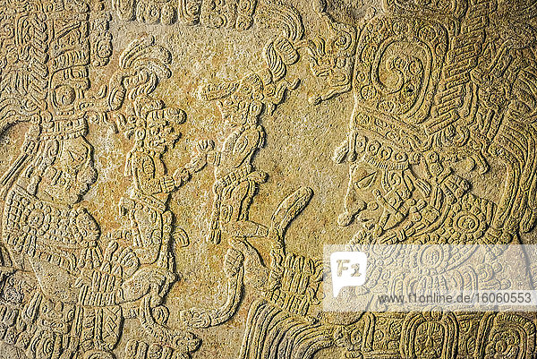 Geschnitzte Kunstwerke in der alten Maya-Stadt Yaxchilan; Provinz Usumacinta  Chiapas  Mexiko