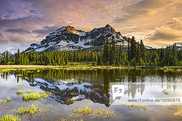 Ein ruhiger See  der das Spiegelbild eines Waldes und schroffer Berge widerspiegelt  Banff National Park; Alberta  Kanada