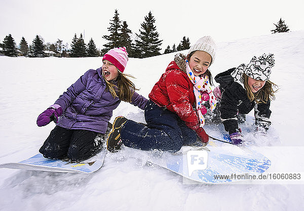 Three girls sledding downhill in the snow; Alberta  Canada