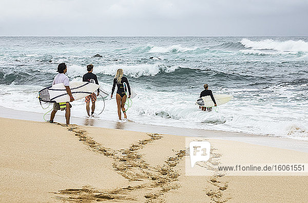 Junge erwachsene Surfer gehen mit ihren Surfbrettern ins Wasser; Kihei  Maui  Hawaii  Vereinigte Staaten von Amerika