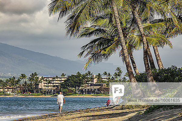 Strandbesucher am Strand in der Nähe von Kokosnusspalmen (Cocos nucifera) von Süd-Maui  in der Nähe von Kihei; Maui  Hawaii  Vereinigte Staaten von Amerika