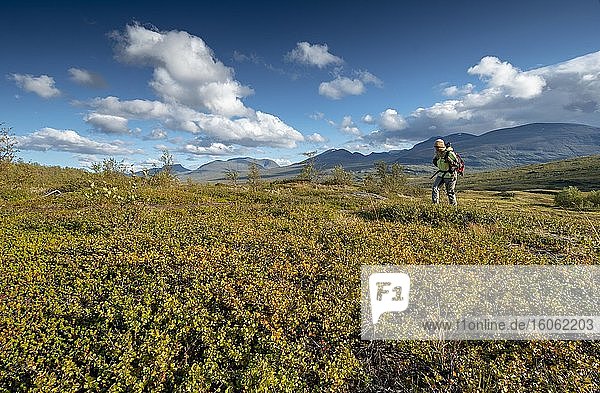 Wanderin in weiter Landschaft  Abisko Nationalpark  Björkliden  Norrbottens län  Schweden  Europa