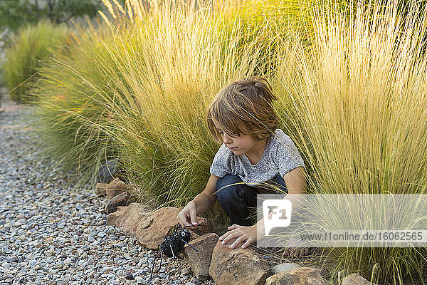 4 Jahre alter Junge spielt bei Sonnenuntergang im hohen Gras