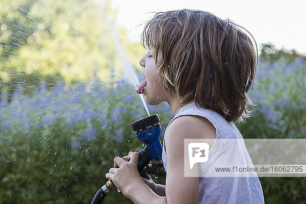 5 year old boy drinking from water hose