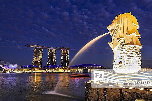 The Merlion Fountain and downtown skyline at night  Singapore  Republic of Singapore.