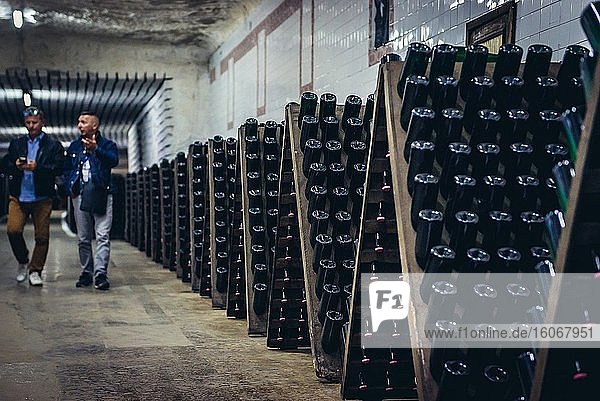 Storage room with wine bottles during production prcess called riddling in famous Cricova winery in Cricova town near Chisinau  capital of Moldova.