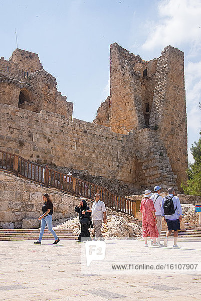 Asia  Middle East  Jordan  Ajloun Castle