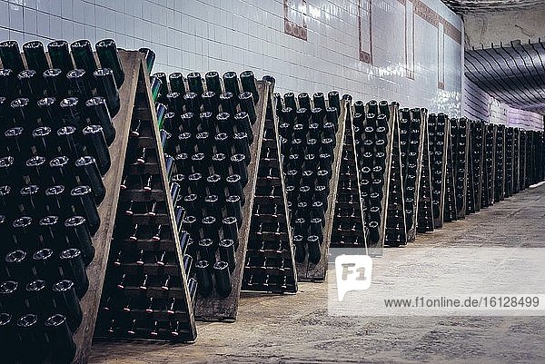 Storage room with wine bottles during production prcess called riddling in famous Cricova winery in Cricova town near Chisinau  capital of Moldova.