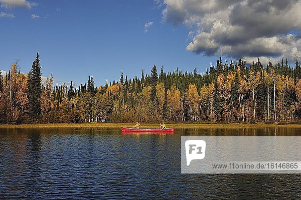 Paar paddelt mit Kanu im See  Yukon Territory  Kanada  Nordamerika