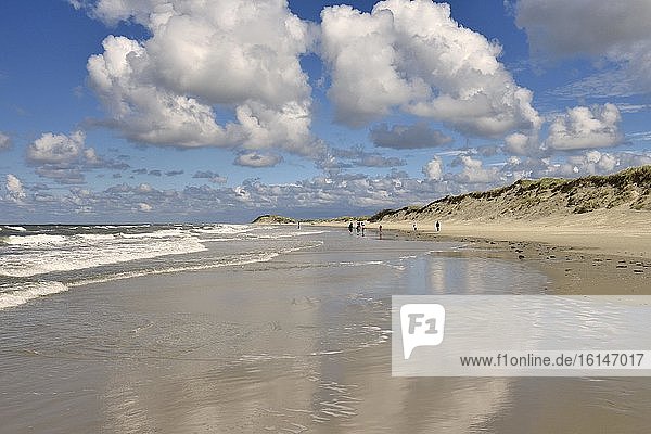 Beach between dunes and North Sea  Borkum  Ostfriesische Insel  East Frisia  Lower Saxony  Germany  Europe