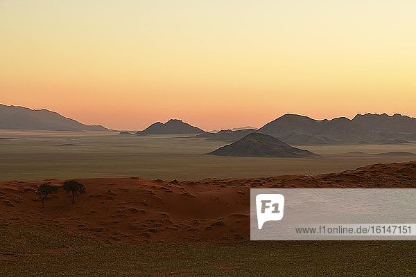 Landschaft im sanften Abendlicht am Rande der Namib-Wüste  NamibRand-Naturreservat  Namibia  Afrika