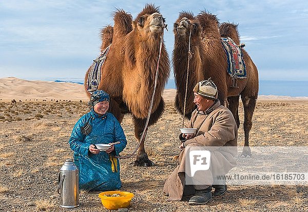 Hirten mit ihren Kamelen beim Mittagessen  Umnugovi aimag  Mongolei  Asien