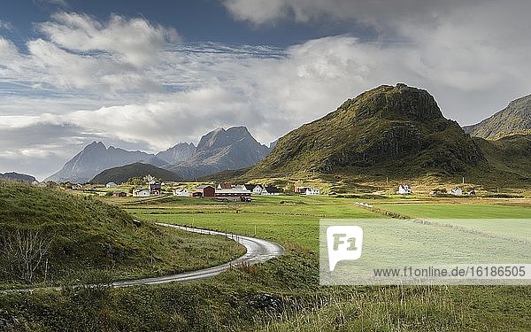 Farm Häuser und grüne landwirtschaftliche Flächen  hinten Lofotenberge  Fredvang  Lofoten  Nordland  Norwegen  Europa