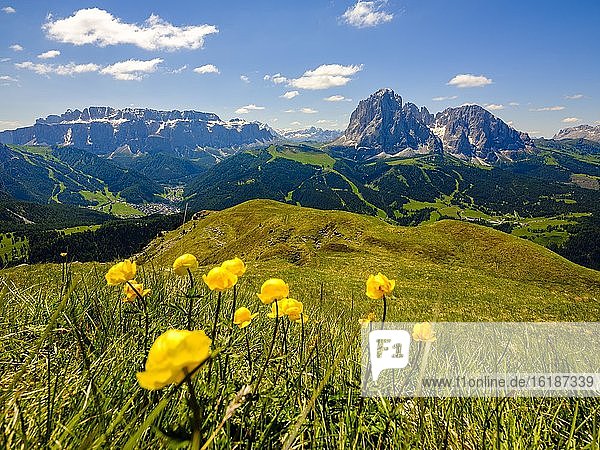 Sellagruppe und Langkofel  Dolomiten  Südtirol  Italien  Europa
