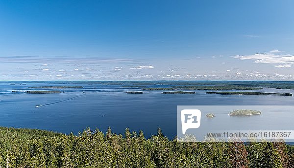 Famous view of the Lake District of Pielinen  forest  islands  Koli Mountain  Koli National Park  North Karelia  Finland  Europe