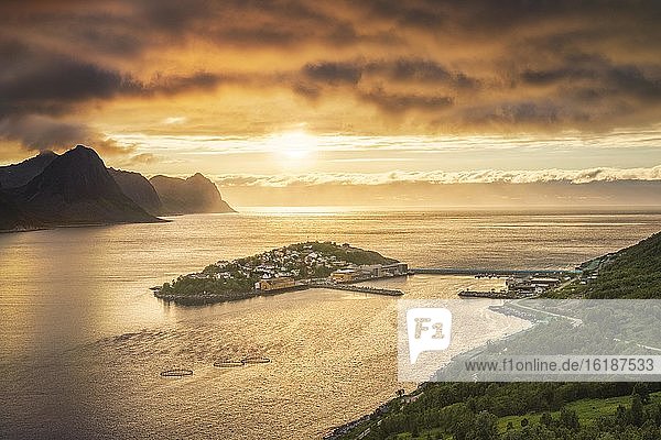 Insel mit Ort Husoy im Fjord bei tiefstehender Sonne bei stimmungsvollem Licht  Insel Senja  Husøy  Troms  Norwegen  Europa