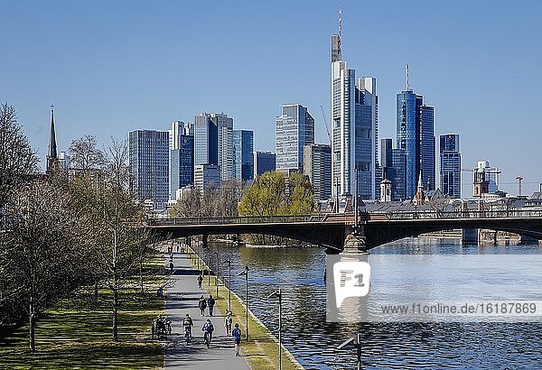 Walkers on the banks of the Main in front of the skyline of Frankfurt city centre with the banking district  Frankfurt am Main  Hesse  Germany  Europe