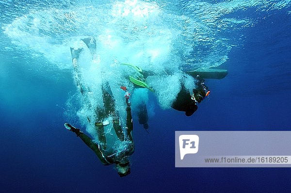 Divers let themselves fall from the boat into the water  diving  sport diving  Italy  Europe