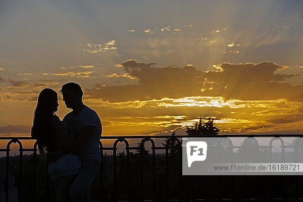 Silhouette  romantisches Paar bei den Sabatini Gärten  Madrid  Spanien  Europa