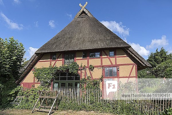 Altes  reetgedecktes Bauernhaus  Vitense  Mecklenburg-Vorpommern  Deutschland  Europa