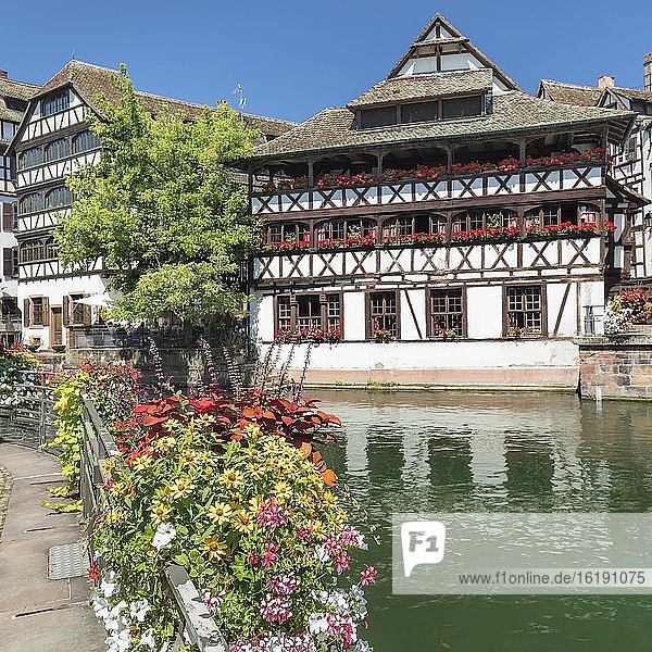 Maison des Tanneurs  Gerberviertel La Petite France  UNESCO Weltkulturerbe  Straßburg  Elsaß  Frankreich  Europa