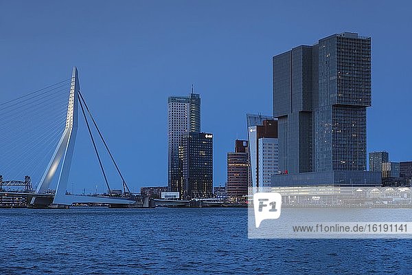 Nieuwe Maas with Erasmus bridge and high-rise buildings  Rotterdam  South Holland  Netherlands