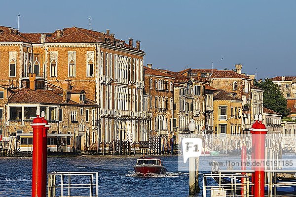 Historical house facades on the Canale Grande in the morning light  Venice  Veneto  Italy  Europe