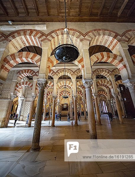 Columned hall with arches in Moorish style  prayer hall of the former mosque  Mezquita-Catedral de Córdoba or Cathedral of the Conception of Our Lady  Córdoba  province of Cordoba  Andalusia  Spain  Europe