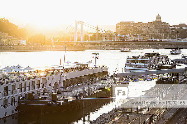 Kreuzfahrtschiffe auf der Donau  im Hintergrund die Budaer Burg  Budapest  Ungarn
