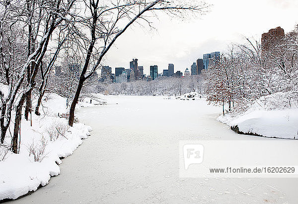 Central Park See im Winter  Manhattan  New York City  USA