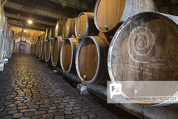 Wine barrels resting in cellar