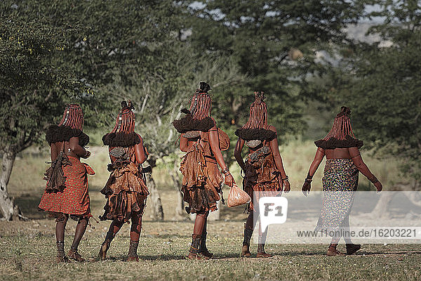 Gruppe von Himba-Frauen  die weggehen  Rückansicht  Namibia  Afrika