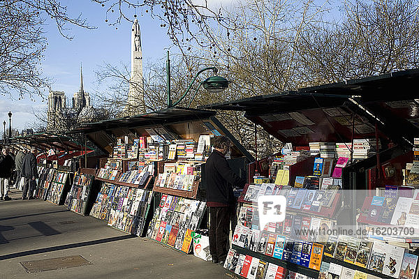 Book stalls along the Seine  Paris  France