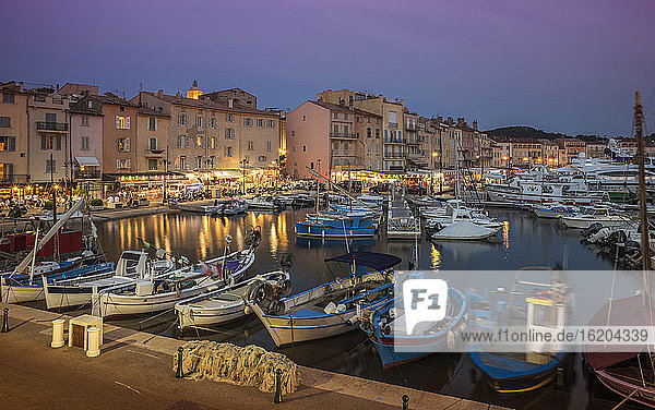 Fischerboote und Luxusjachten im Hafen von St. Tropez bei Sonnenuntergang  Provence  Frankreich
