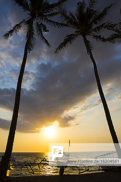 Silhouettierte Palmen bei Sonnenuntergang am Strand von Senggigi  Lombok  Indonesien