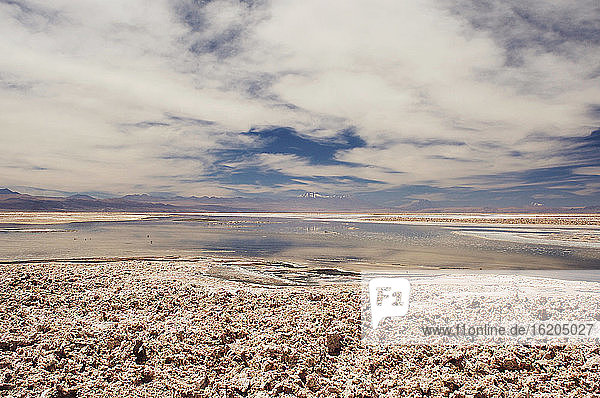 Salar de Atacama  Chile