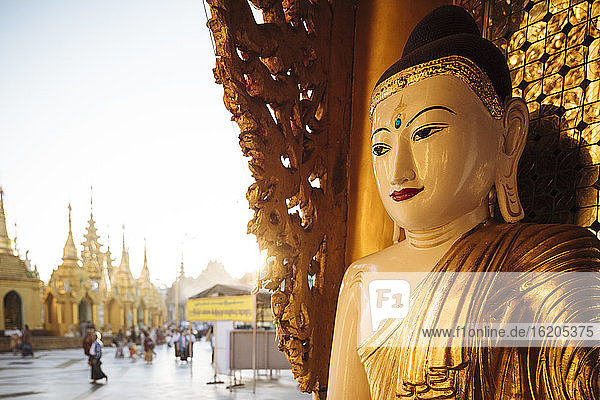 Statue at buddhist temple  Shwedagon Pagoda  Yangon  Myanmar