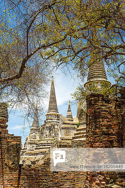 Wat Phra Si Sanphet  Ayutthaya  Thailand