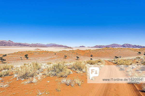 Dirt road in Namibrand Nature Reserve , Namibia