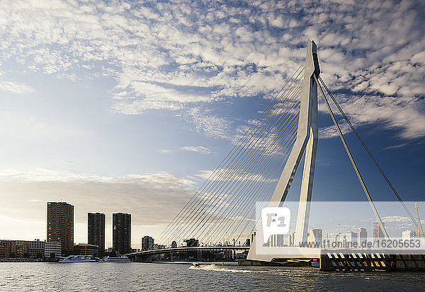 Erasmus Bridge  Wilhelminakade  Rotterdam  Netherlands