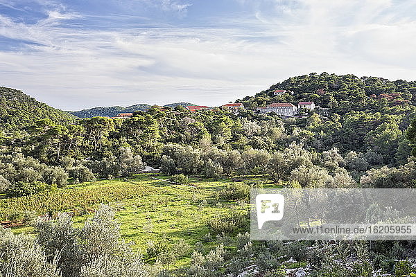 Blick auf die Hügel und das Dorf Govedari auf der Insel Mljet  Kroatien
