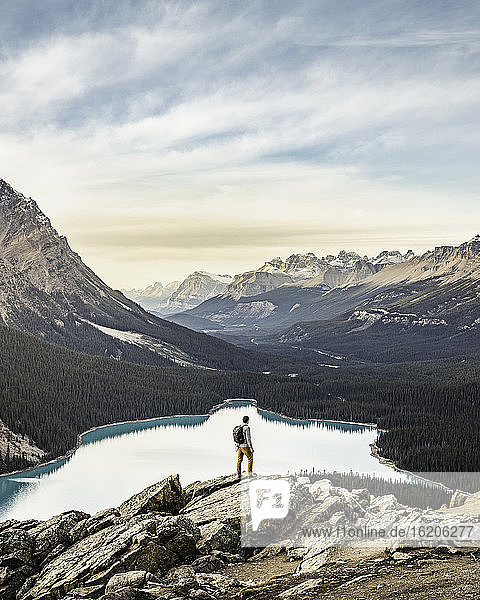 Stehender Mann mit Blick auf die Aussicht  Aussichtspunkt mit Blick auf den Peyto Lake  Lake Louise  Alberta  Kanada