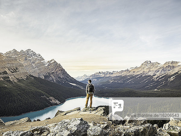 Stehender Mann mit Blick auf die Aussicht  Aussichtspunkt mit Blick auf den Peyto Lake  Lake Louise  Alberta  Kanada