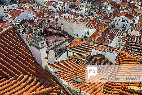 Blick von oben auf die Dächer  Lissabon  Portugal