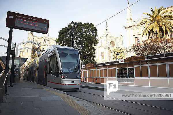 Straßenbahn an der Haltestelle  Sevilla  Andalusien  Spanien