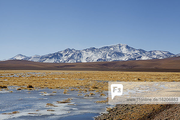 Altiplano  Hochplateau  San Pedro de Atacama  Antofagasta  Chile